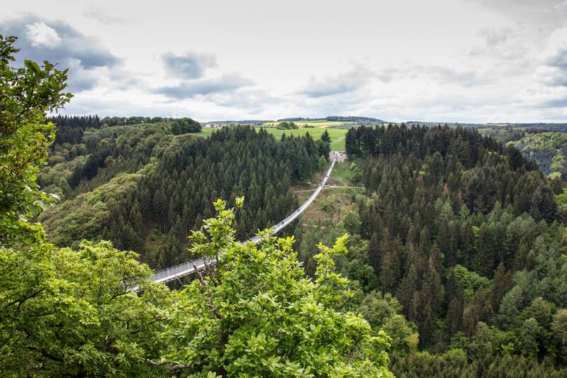 bridge, suspension bridge, nature, hike, height, fear of heights, trail, web, germany, recreation, hunsrück